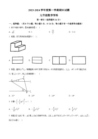 陕西省西安市爱知初级中学2023-2024学年九年级上学期期末数学试题（原卷+解析）