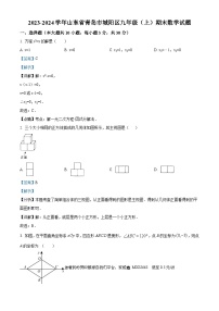 25，山东省青岛市城阳区2023-2024学年九年级上学期期末数学试题