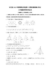 29，四川省泸州市合江县第五片区2022-2023学年八年级上学期期末定时作业数学试题