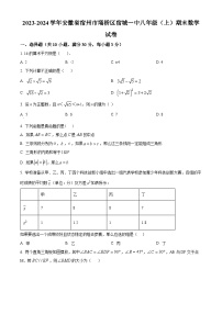 安徽省宿州市埇桥区宿城第一初级中学2023-2024学年八年级上学期期末数学试题（原卷+解析）