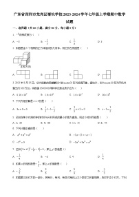 广东省深圳市龙岗区塘坑学校2023-2024学年七年级上学期期中数学试题（原卷+解析）