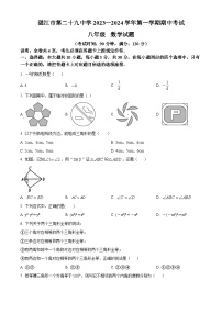 广东省湛江市第二十九中学2023-2024学年八年级上学期期中数学试题（原卷+解析）