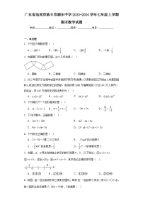 广东省汕尾市陆丰市湖东中学2023-2024学年七年级上学期期末数学试题