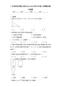 广东省茂名市崇文学校2023-2024学年九年级上学期期末数学试题