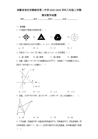 安徽省安庆市桐城市第二中学2023-2024学年八年级上学期期末数学试题