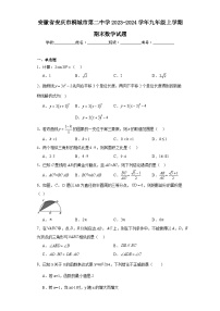 安徽省安庆市桐城市第二中学2023-2024学年九年级上学期期末数学试题