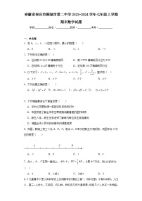 安徽省安庆市桐城市第二中学2023-2024学年七年级上学期期末数学试题