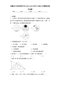 安徽省六安市裕安中学2023-2024学年八年级上学期期末数学试题