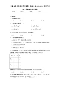 安徽省宿州市埇桥区宿城第一初级中学2023-2024学年八年级上学期期末数学试题