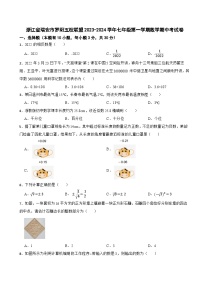 浙江省温州市瑞安市罗阳五校联盟2023-2024学年七年级上学期期中数学试卷