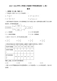 河南省郑州市中原区第十九初级中学2023-2024学年九年级上学期期中数学试题（原卷+解析）