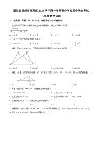 浙江省温州市瓯海区部分学校2023-2024学年八年级上学期期中数学试题（原卷+解析）