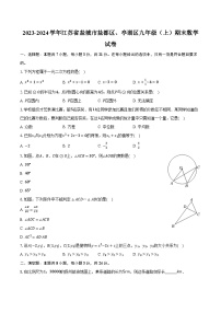 2023-2024学年江苏省盐城市盐都区、亭湖区九年级（上）期末数学试卷（含解析）