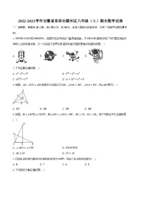 2022-2023学年安徽省阜阳市颍州区八年级（上）期末数学试卷（含解析）