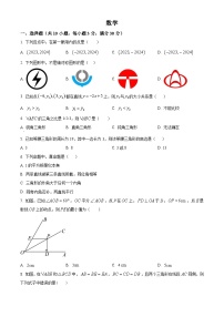 安徽省合肥市经开区实验中学2023-2024学年八年级上学期期末数学试题（原卷+解析）