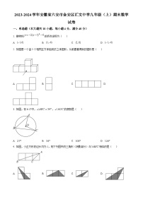 安徽省六安市汇文中学2023-2024学年九年级上学期期末数学试题（原卷+解析）