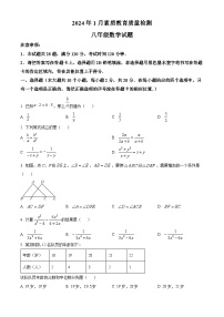 山东省菏泽市曹县2023-2024学年八年级上学期期末数学试题（原卷+解析）