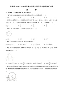 海南省省直辖县级行政单位乐东黎族自治县2023-2024学年九年级上学期期末数学试题（原卷+解析）