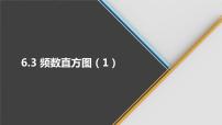 初中数学青岛版九年级下册6.3频数直方图完美版ppt课件