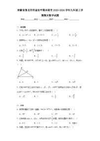 安徽省淮北市市直初中期末联考2023-2024学年九年级上学期期末数学试题