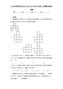 山东省菏泽市牡丹区2023-2024学年九年级上学期期末数学试题