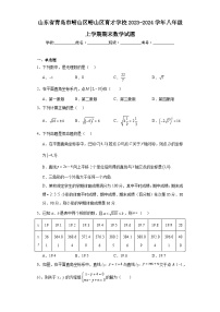 山东省青岛市崂山区崂山区育才学校2023-2024学年八年级上学期期末数学试题