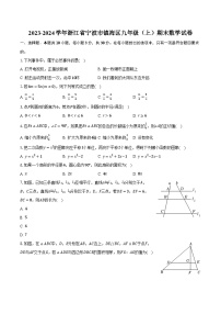 2023-2024学年浙江省宁波市镇海区九年级（上）期末数学试卷-普通用卷