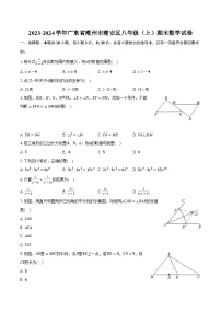 2023-2024学年广东省潮州市潮安区八年级（上）期末数学试卷