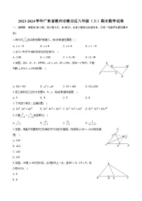 2023-2024学年广东省潮州市潮安区八年级（上）期末数学试卷