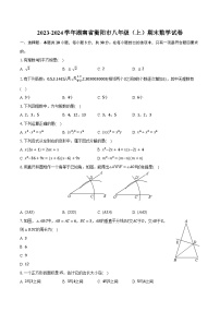 2023-2024学年湖南省衡阳市八年级（上）期末数学试卷（含解析）