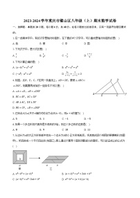 2023-2024学年重庆市璧山区八年级（上）期末数学试卷-普通用卷