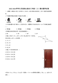 2023-2024学年江苏省连云港市八年级（上）期末数学试卷-普通用卷