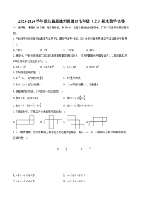 2023-2024学年湖北省恩施州恩施市七年级（上）期末数学试卷-普通用卷