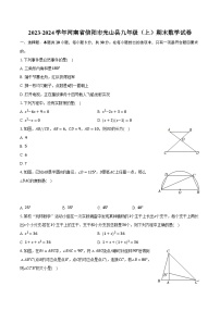 2023-2024学年河南省信阳市光山县九年级（上）期末数学试卷（含解析）