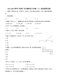 2023-2024学年广东省广州市南沙区七年级（上）期末数学试卷（含解析）
