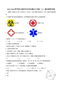 2023-2024学年四川省泸州市龙马潭区九年级（上）期末数学试卷（含解析）