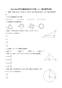 2023-2024学年安徽省亳州市九年级（上）期末数学试卷（含解析）