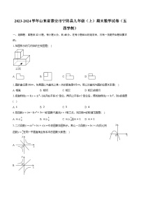 2023-2024学年山东省泰安市宁阳县九年级（上）期末数学试卷（五四学制）（含解析）