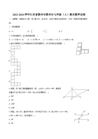 2023-2024学年江苏省泰州市泰兴市七年级（上）期末数学试卷（含解析）