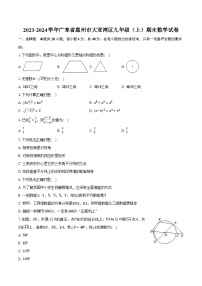 2023-2024学年广东省惠州市大亚湾区九年级（上）期末数学试卷（含解析）