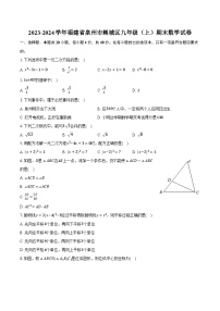 2023-2024学年福建省泉州市鲤城区九年级（上）期末数学试卷（含解析）