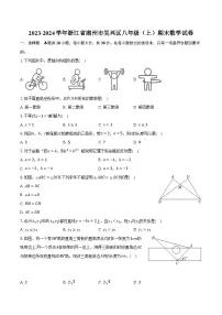 2023-2024学年浙江省湖州市吴兴区八年级（上）期末数学试卷（含解析）