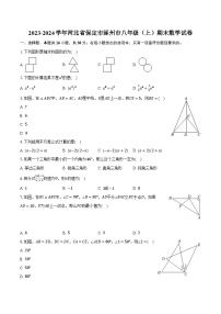 2023-2024学年河北省保定市涿州市八年级（上）期末数学试卷（含解析）