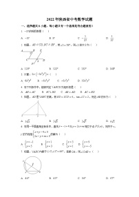 精品解析：2022年陕西省中考数学真题（原卷版）