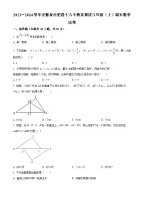 安徽省合肥四十六中教育集团2023-2024学年八年级上学期期末数学试题（原卷+解析）