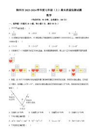 广西壮族自治区柳州市2023-2024学年七年级上学期期末数学试题（原卷+解析）