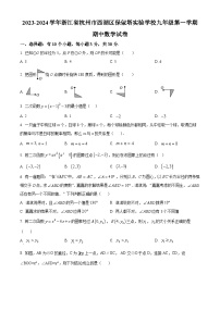 浙江省杭州市西湖区保俶塔实验学校2023-2024学年九年级上学期期中数学试题（原卷+解析）