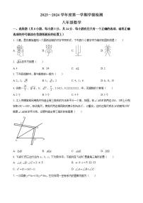 江苏省宿迁市沭阳县2023-2024学年八年级上学期期末数学试题（原卷+解析）