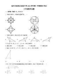 浙江省温州市瓯海区实验中学2023-2024学年八年级上学期期末数学试题（原卷+解析）