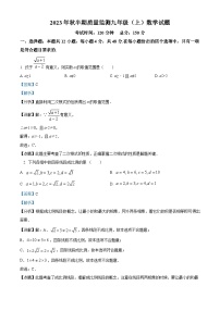 03，四川省眉山市仁寿县城区2023-2024学年九年级上学期期中考试数学试题